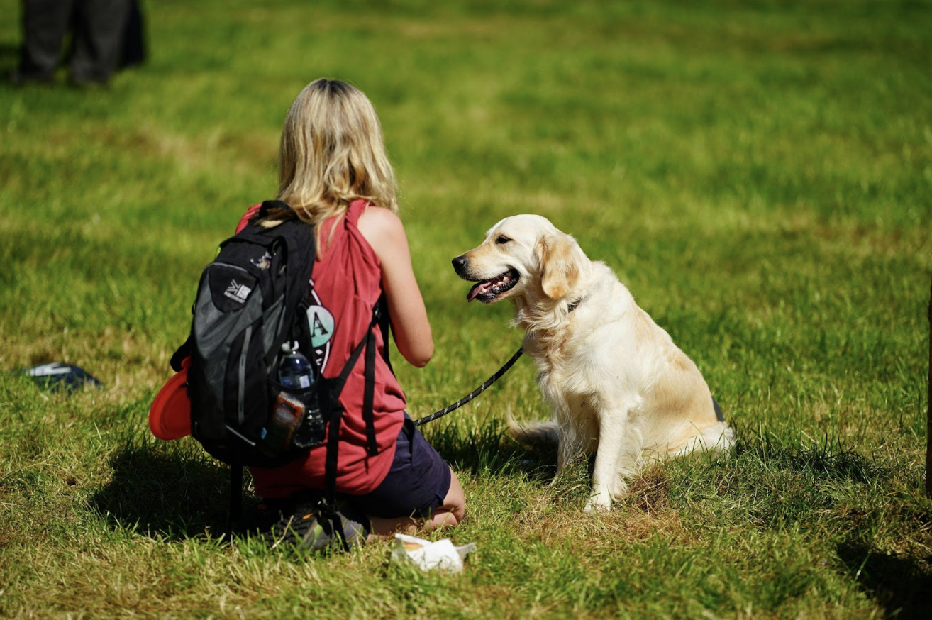 Top Tips for Training Your Dog to Stay Safe Outdoors
